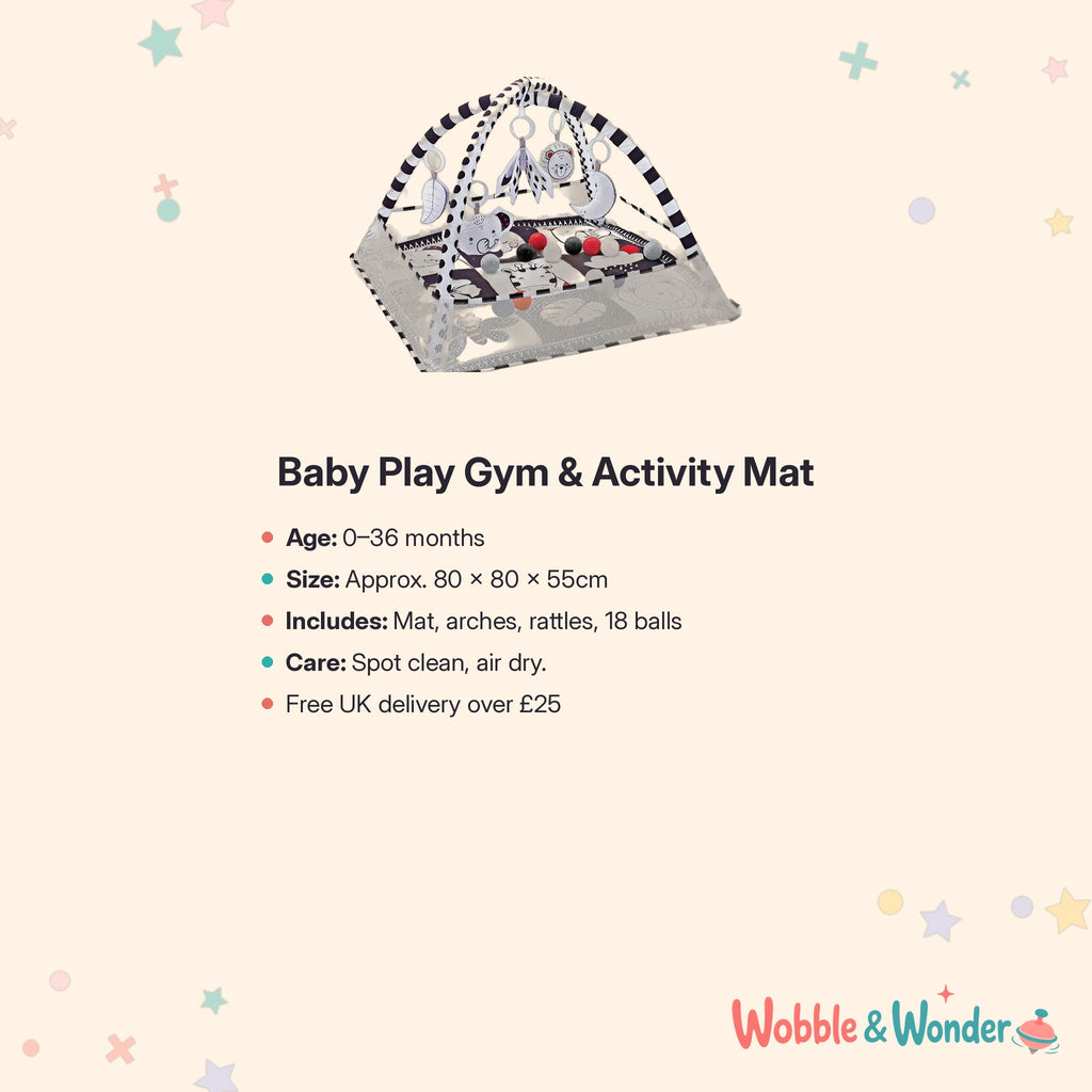 Baby Play Gym & Activity Mat
