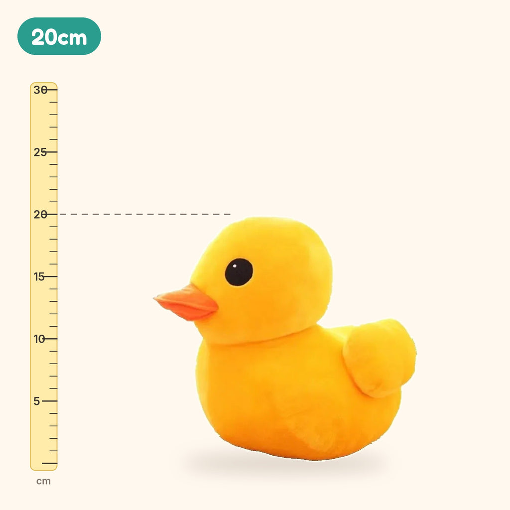 20cm