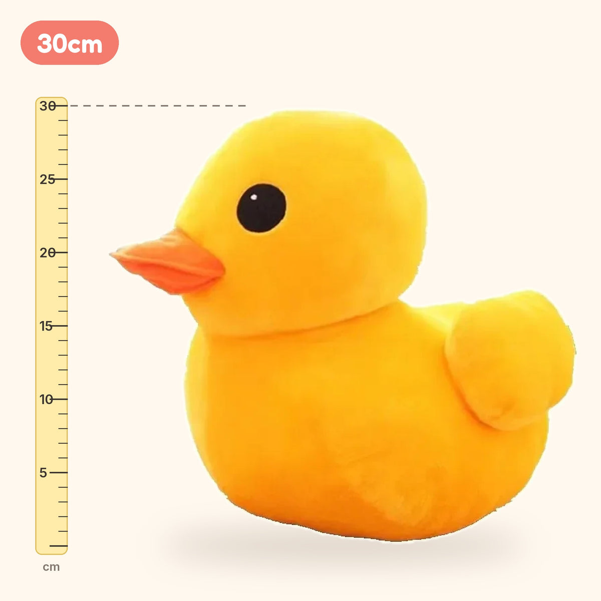 30cm